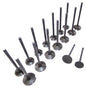 Exhaust / Intake Valve Kit 2005-2019 Audi, Volkswagen 2.0L