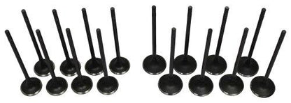 Exhaust / Intake Valve Kit 2009-2011 Chevrolet,Pontiac 1.6L