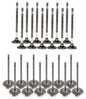 Exhaust / Intake Valve Kit 2011-2022 Chrysler,Dodge,Jeep,Ram,Volkswagen 3.6L
