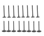 Exhaust / Intake Valve Kit 2013-2022 Buick,Cadillac,Chevrolet,GMC 2.0L
