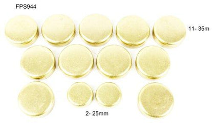 Expansion Plug Kit 1992-2005 Lexus,Toyota 3.0L