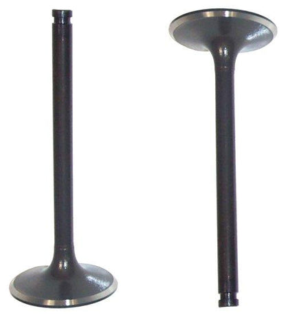 Intake Valve 1975-1980 Nissan 2.8L