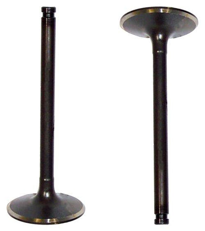 Intake Valve 1981-1983 Nissan 2.8L