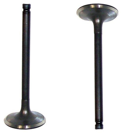 Intake Valve 1987 Nissan 1.6L
