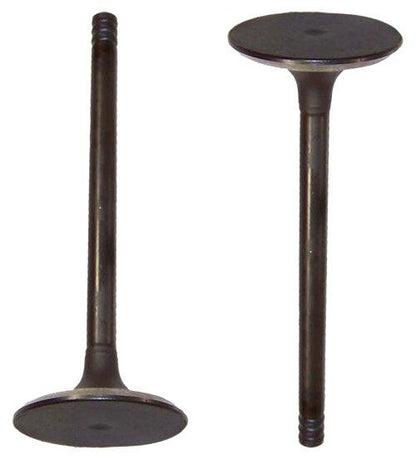 Intake Valve 1992-2002 Volkswagen 2.8L