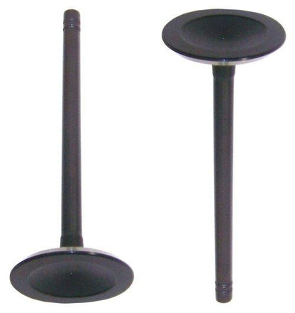 Intake Valve 1998-2000 Chrysler,Dodge,Plymouth 3.3L-3.8L