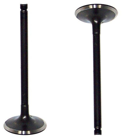 Intake Valve 2000-2002 INFINITI,Nissan 2.0L