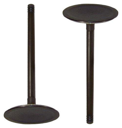 Intake Valve 2005-2010 Chrysler,Dodge,Jeep 6.1L