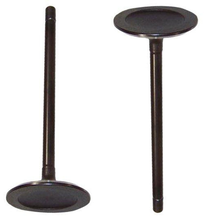 Intake Valve 2007-2009 Suzuki 3.6L