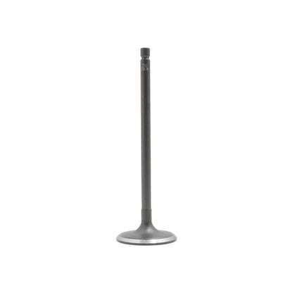 Intake Valve 2013-2019 Nissan 1.8L