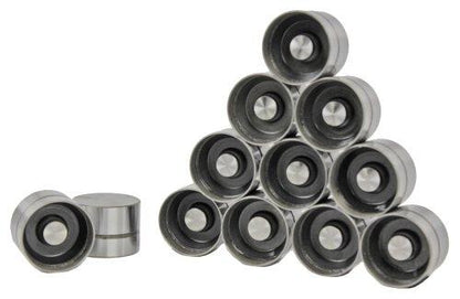 Valve Lifter Kit 1992-1998 Audi,Volkswagen 2.8L