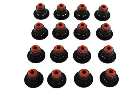 Valve Stem Oil Seal Set 2011-2019 Ford 1.5L-1.6L
