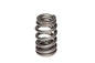 Comp Cams Beehive Valve Spring High Performsnce GM LS1
