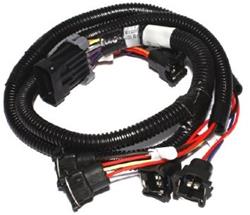 EZ EFI 2.0 Main Harness