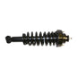 Gabriel Ultra ReadyMount Struts - G57018