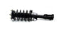 Gabriel Ultra ReadyMount Struts - G57271