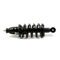 Gabriel Ultra ReadyMount Struts - G57425
