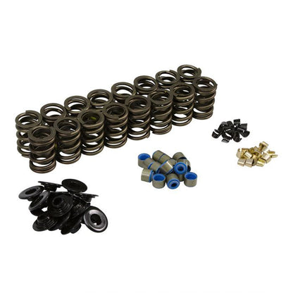 SPRING KIT  FORD GT40 / GT40P CYLINDER HEAD  .570" MAX LIFT