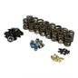SPRING KIT  FORD GT40 / GT40P CYLINDER HEAD  .570" MAX LIFT