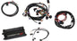 Holley Dominator EFI Vehicle Management Systems - 550656