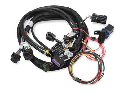 Holley EFI Terminator Stealth Main Wiring Harnesses - 558121