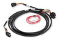 Holley Drive-By-Wire Throttle Body Wiring Harnesses - 558422