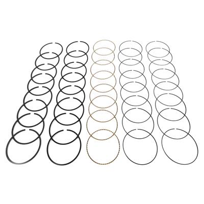 Hastings Premium Ductile Ring Sets - 2M4727