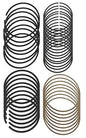 Hastings Premium Ductile Ring Sets - 2M5141020