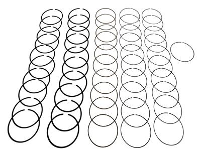 Hastings Premium Ductile Ring Sets - 2M5378