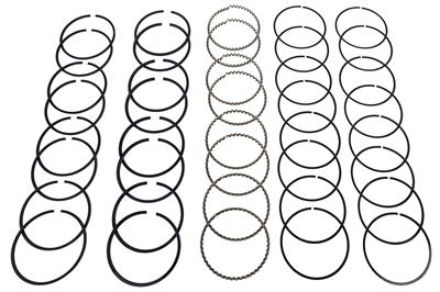 Hastings Premium Ductile Ring Sets - 2M577030