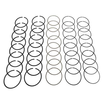 Hastings Piston Ring Sets - 695030