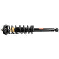 Monroe Quick-Struts - 171372