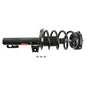 Monroe Quick-Struts - 172311