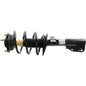 Monroe Quick-Struts - 172518
