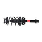 Monroe Quick-Struts - 172540