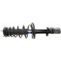 Monroe Quick-Struts - 172943