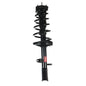 Monroe Quick-Struts - 172964