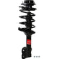 Monroe Quick-Struts - 272684