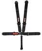 Simpson Latch & Link Driver Restraint Systems - 29063BK1X