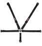 Simpson Camlock Driver Restraint Systems - 29400BKL1X