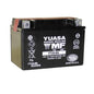 Yuasa AGM Maintenance-Free Batteries - YTX9BS
